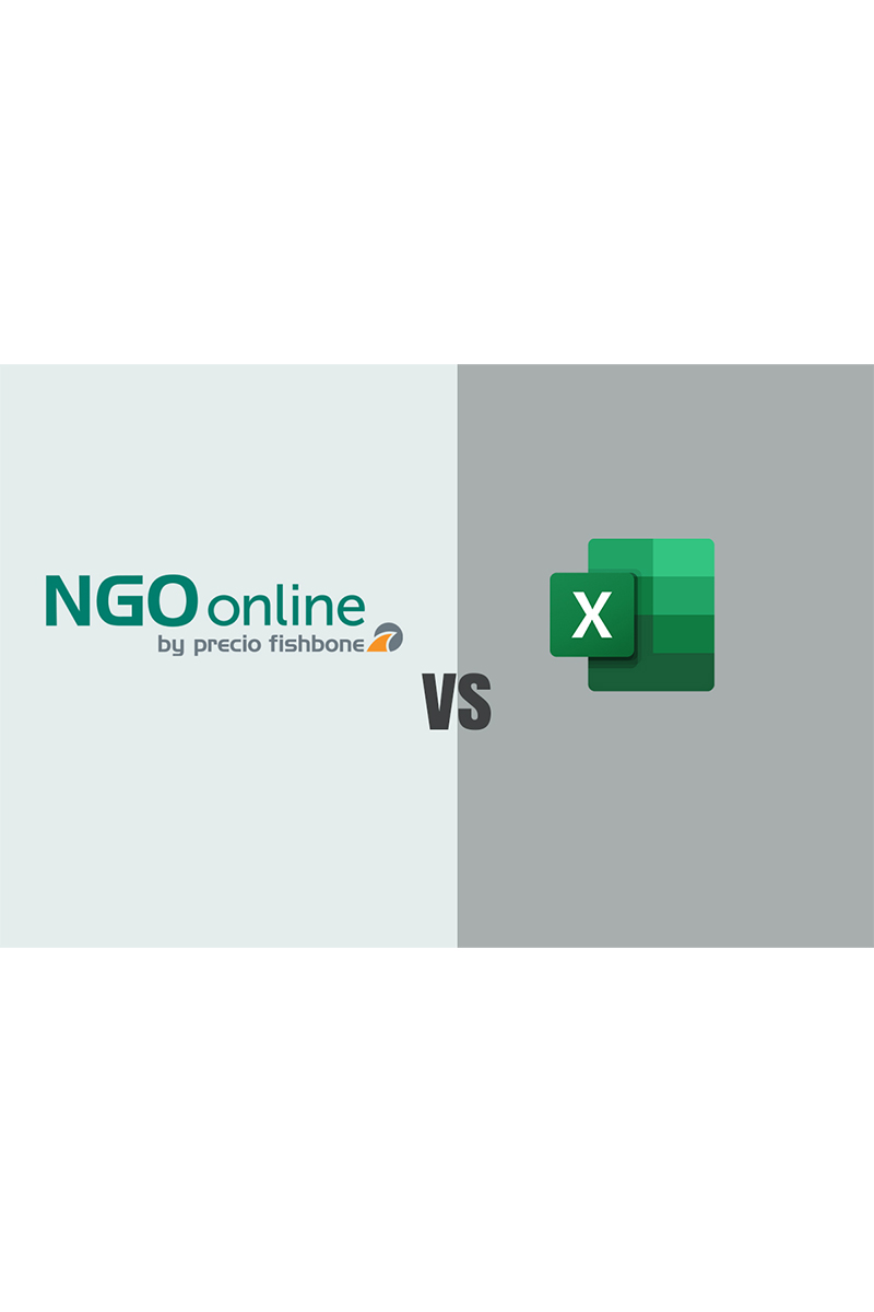 NGO Online vs Excel